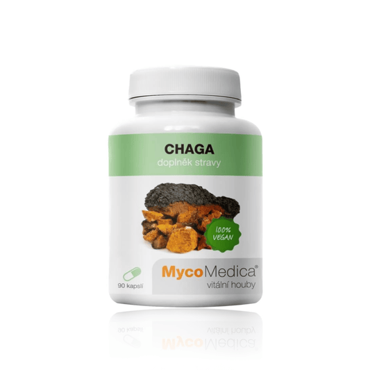 Chaga (Rezavec šikmý)